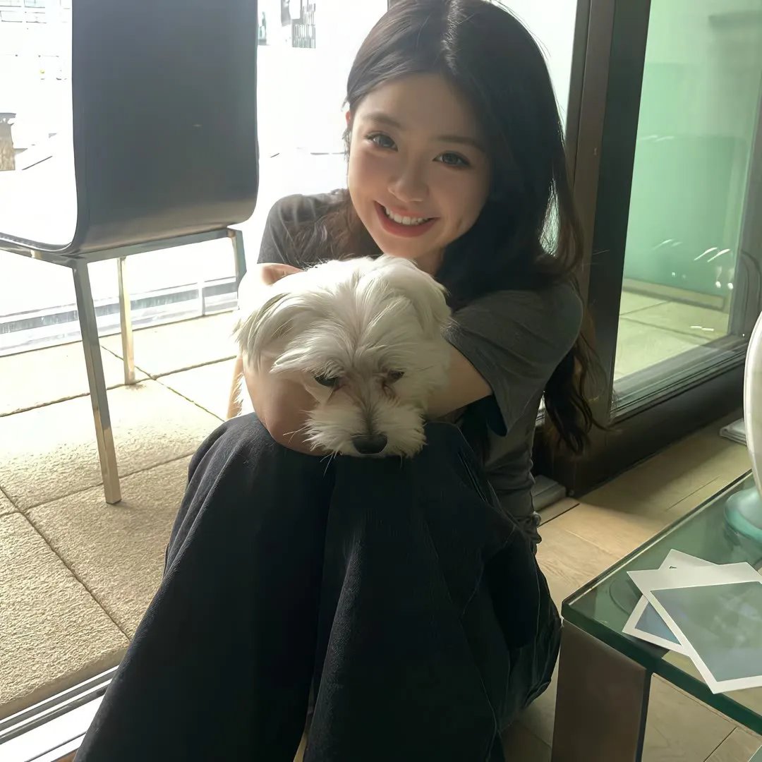 飞行之翼